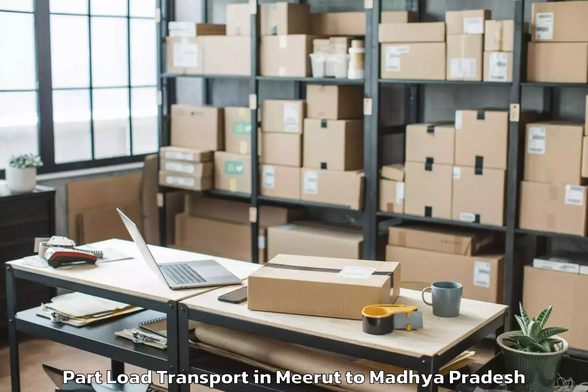 Hassle-Free Meerut to Mhow Part Load Transport